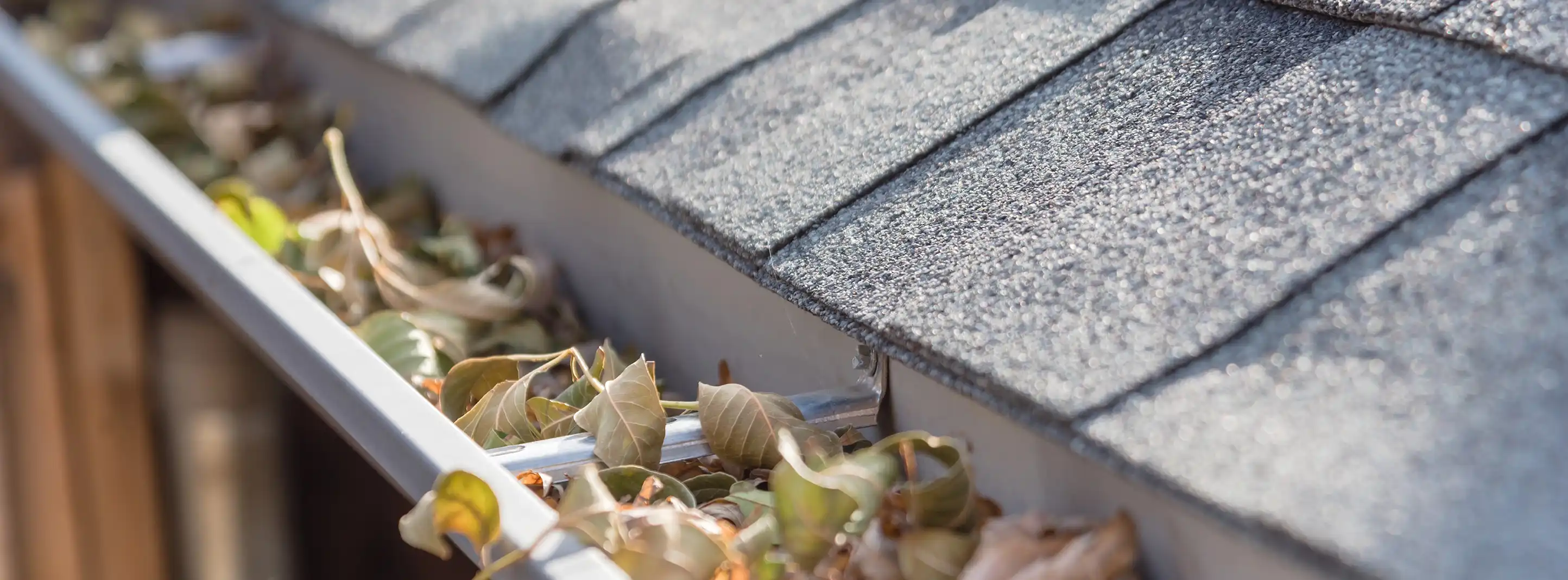 Gutter Cleaning Company