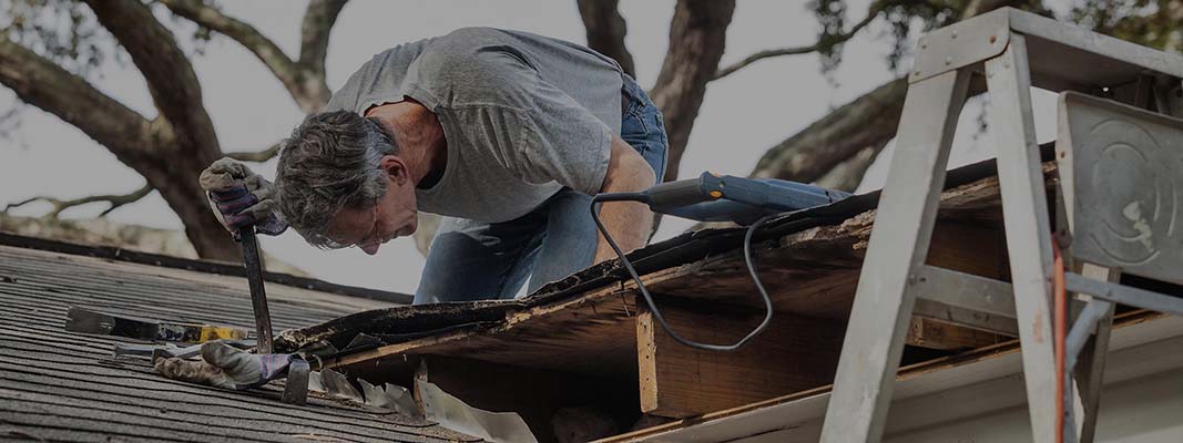 Wood Rot Repair Worker